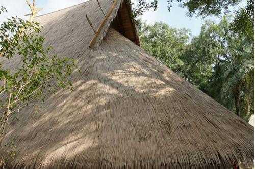 Sản phẩm rơm nhân tạo đc sử dụng tại resort Phú Quốc