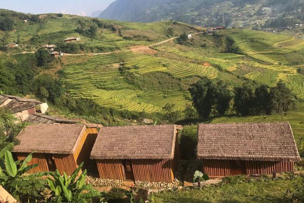 Thi Công Chòi Lá Dừa Nước Nét Truyền Thống Của Người Việt