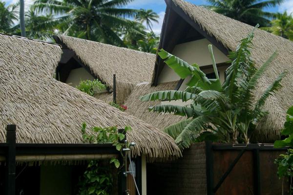 Thi công lợp mái lá nhân tạo cho M Resort Phú Quốc